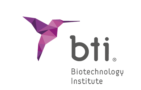 Logo_bti